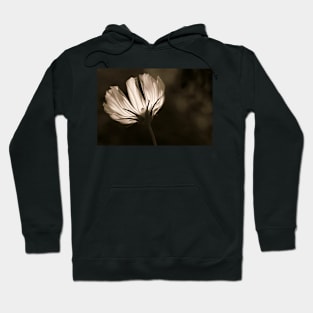 Sunlit Cosmos in Sepia Hoodie